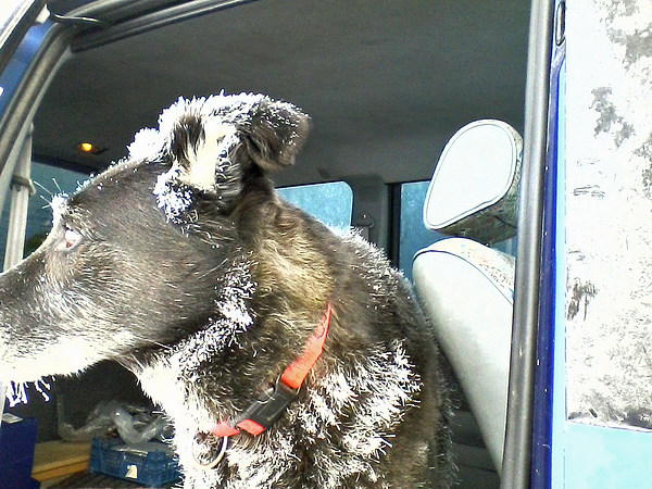 med_Frostohren.jpg (600 x 450)